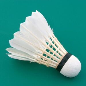 Shuttles Model 2